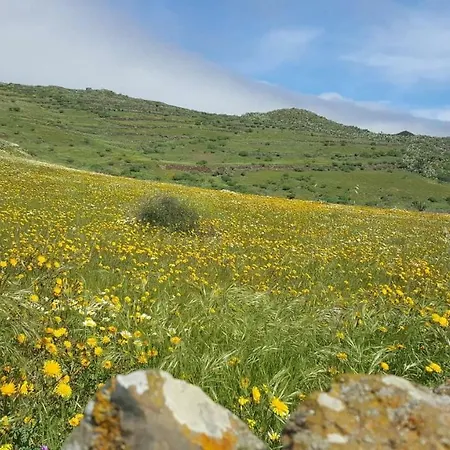 Casa Valle De Palmeras בית נופש *