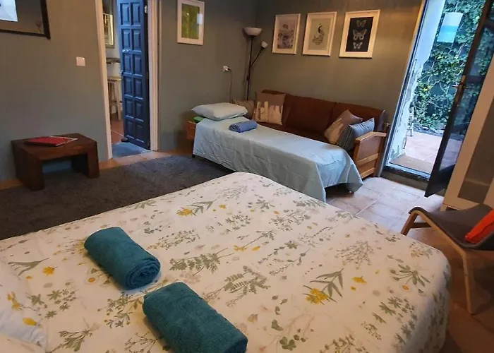 Hébergement de vacances Casa Valle De Palmeras *