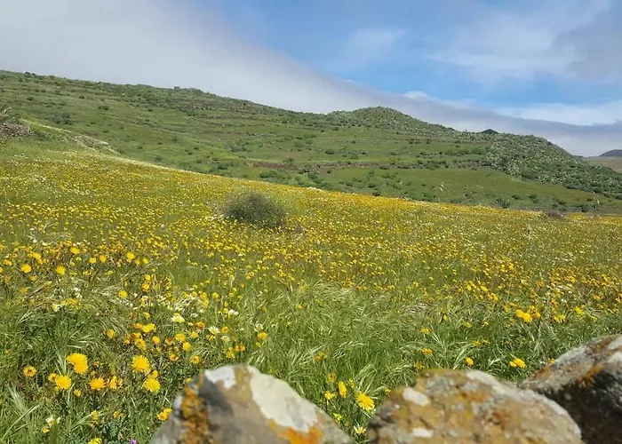 Casa Valle De Palmeras Hébergement de vacances *
