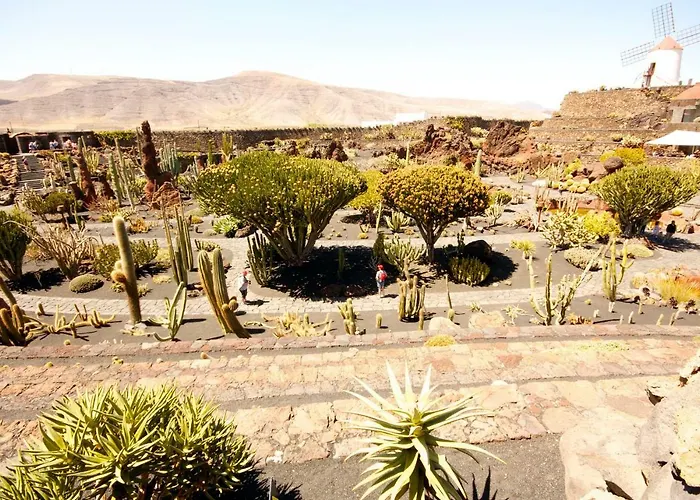 Casa Valle De Palmeras Hébergement de vacances Haría