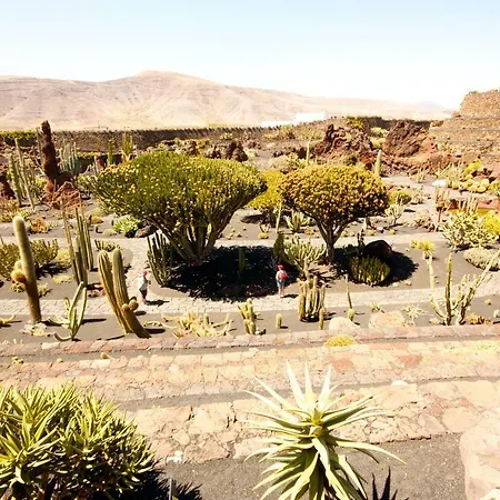 Casa Valle De Palmeras Casa vacanze Haría